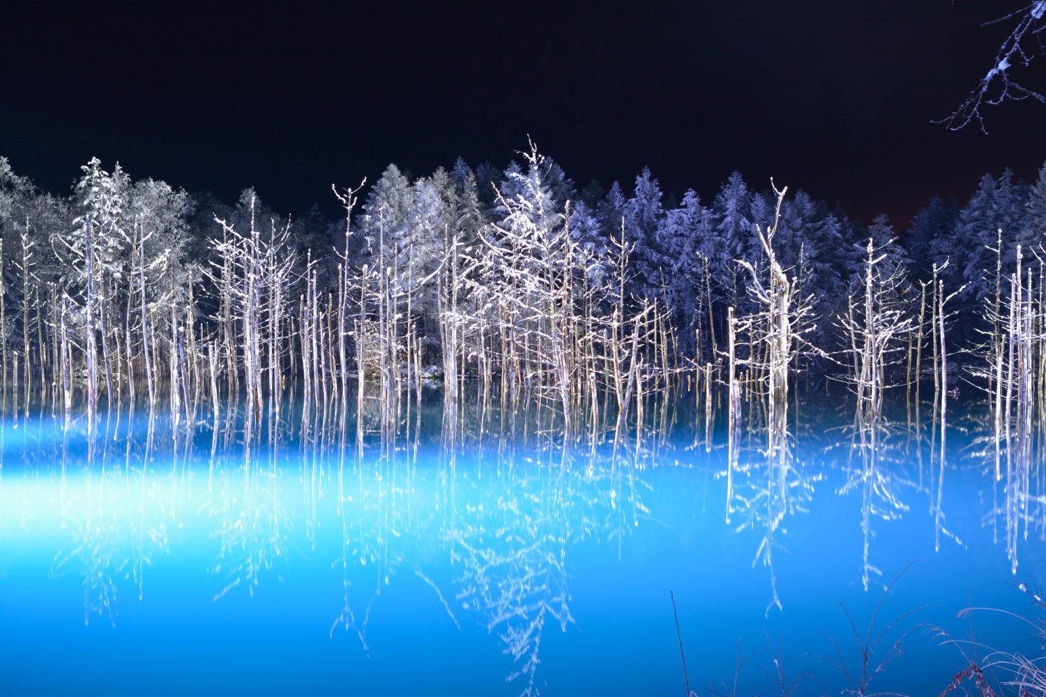 冬の幻想的な写真